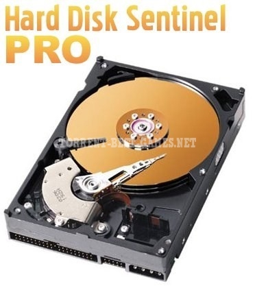 Hard Disk Sentinel Pro 4.50.17 Beta (2014) PC | Repack by Mad1966