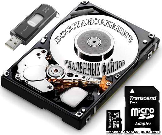 Raise Data Recovery for Ext2/Ext3/Ext4 (2011) PC | RePack Скачать торрент