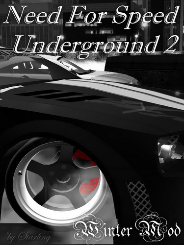 Need For Speed: Underground 2 / Жажда скорости: Подземка 2