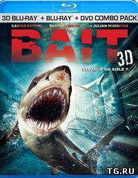 Цунами 3D / Bait (2012) [HDRip]