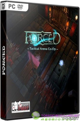 FORCED (2013) PC | Лицензия